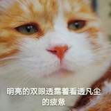 王顾左右而言她