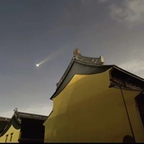龋龋独行
