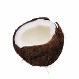 椰子Coconut