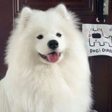 JDG小玖