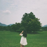 朝颜