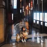 梦里花落知多少