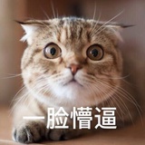 小猴子