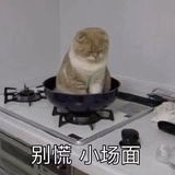 诗与远方