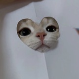 爱喝洗发水