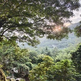已注销