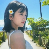 o嘟嘟o