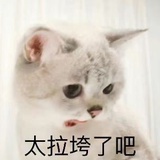 猛犸颠勺