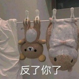 要不要吃哈密瓜