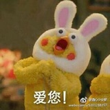 豆豆