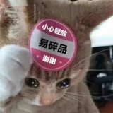 陵栀