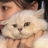 嘿呀