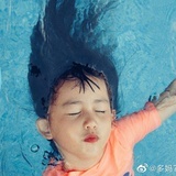 Dec的树洞