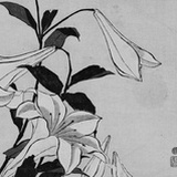 再来两斤砒霜