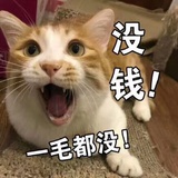 一毛