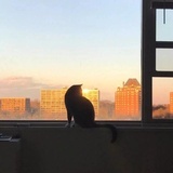 留白 ∝