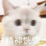 别问问就是劝分