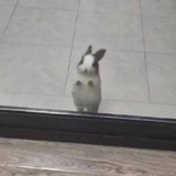 第1我不叫喂