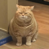 末班飞行中