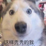EZJ
