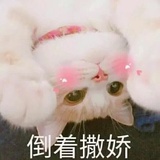 土豆君