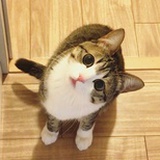 九五零零幺
