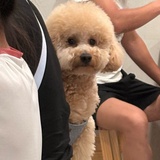 老同志归戈
