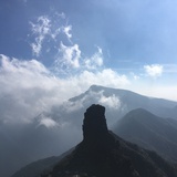 小驴子