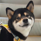 随便逛逛
