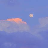 夏木兮