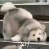 逃出这座岛