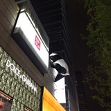 荌閤苝