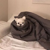 土方