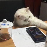 柔性劝导