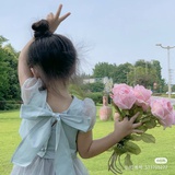碳线