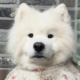 7号momo请就位