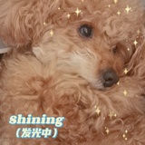 闻人羽