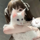 猫咪party