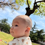 大白鹅