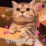 黎荔