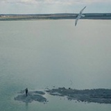 JOUTO