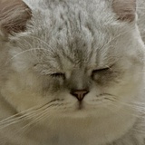 听我说