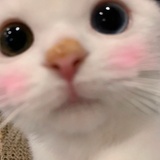 飞天魔毯
