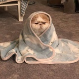 你放学等着