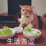 超爱吃菠萝