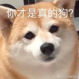 Ark