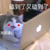 磕学家