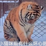 巳注销