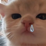 雨一直在下