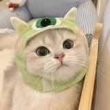 就要吃麻辣香锅